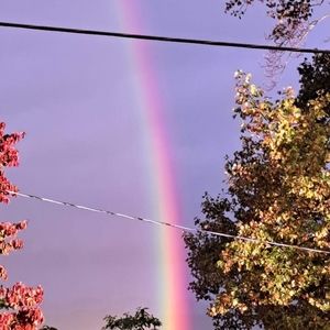 Meet your Posher, Isabella